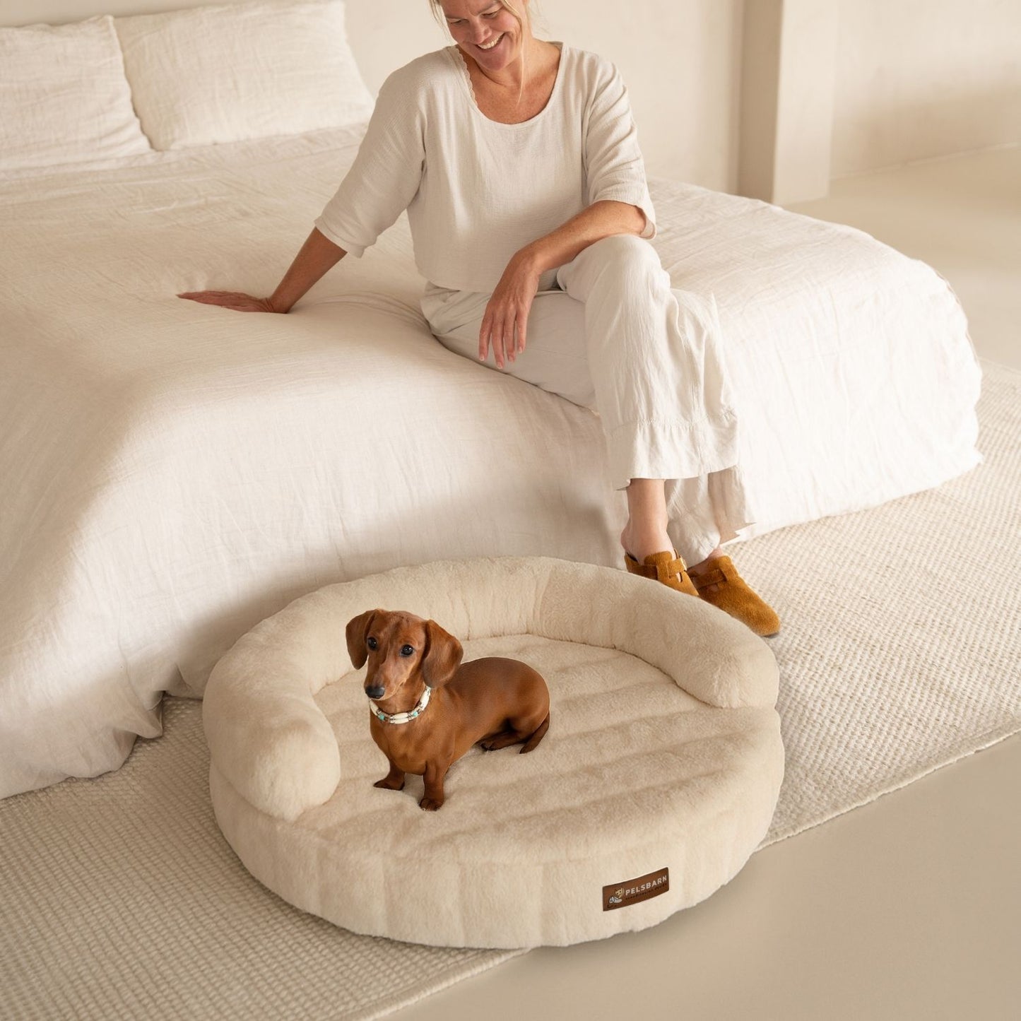 New: The Science of Canine Comfort