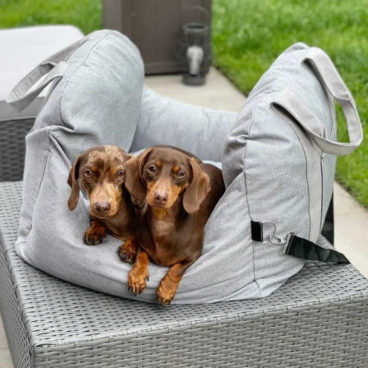 Luxurious Dog Car Bed