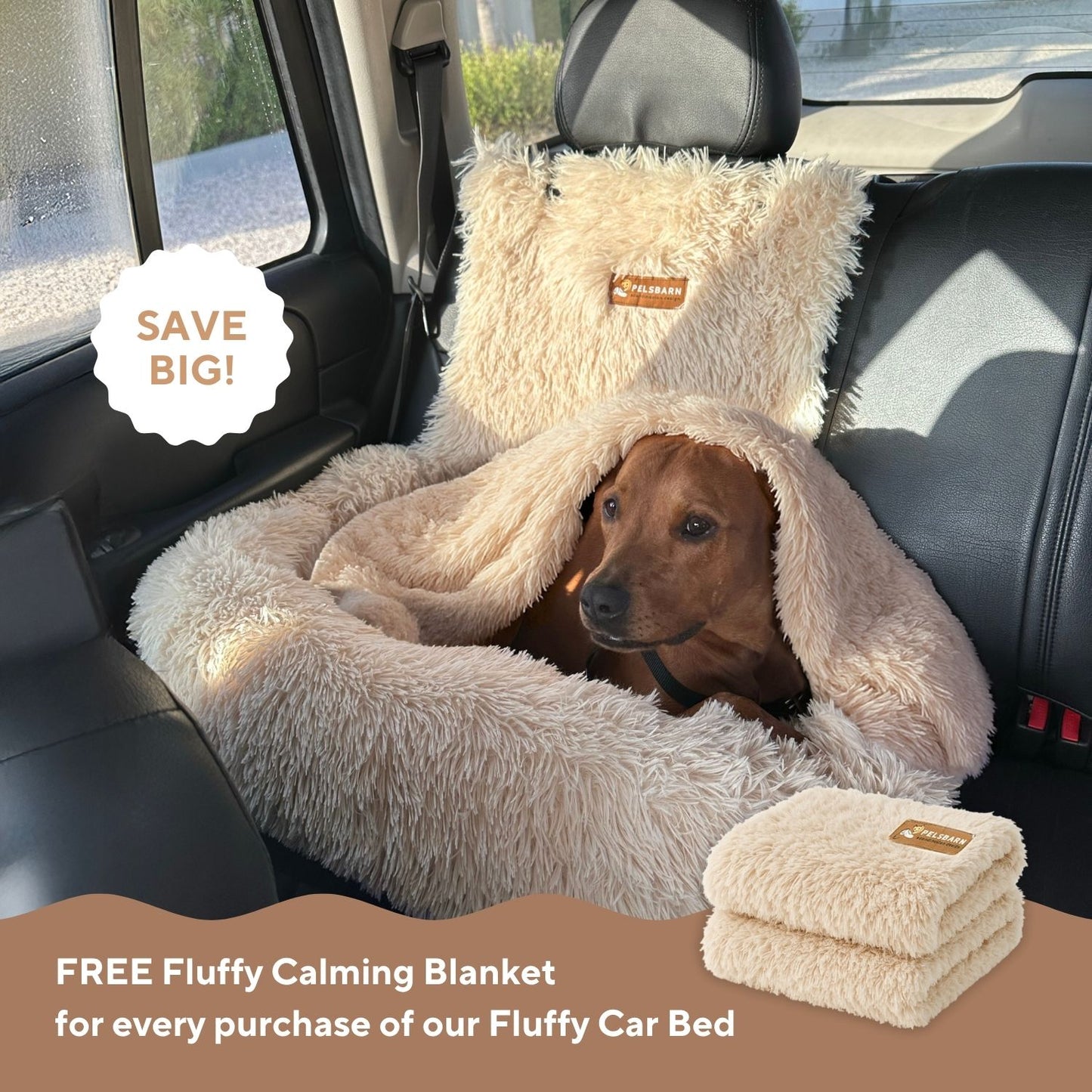 FCB + Fluffy Calming Blanket (free product)