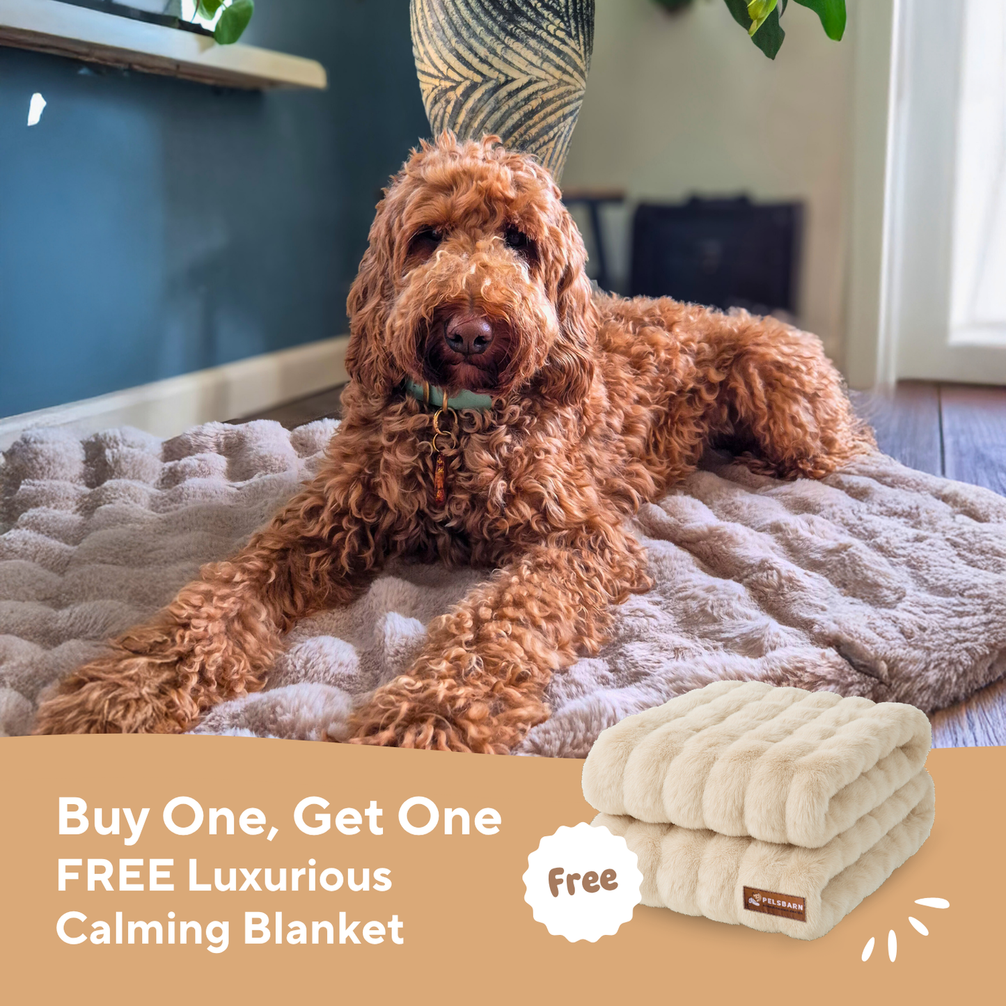 Luxurious Calming Blanket (1+1)