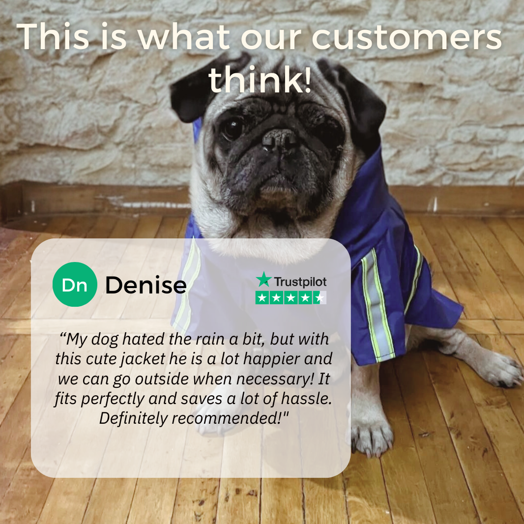 Pelsbarn Dog Raincoat