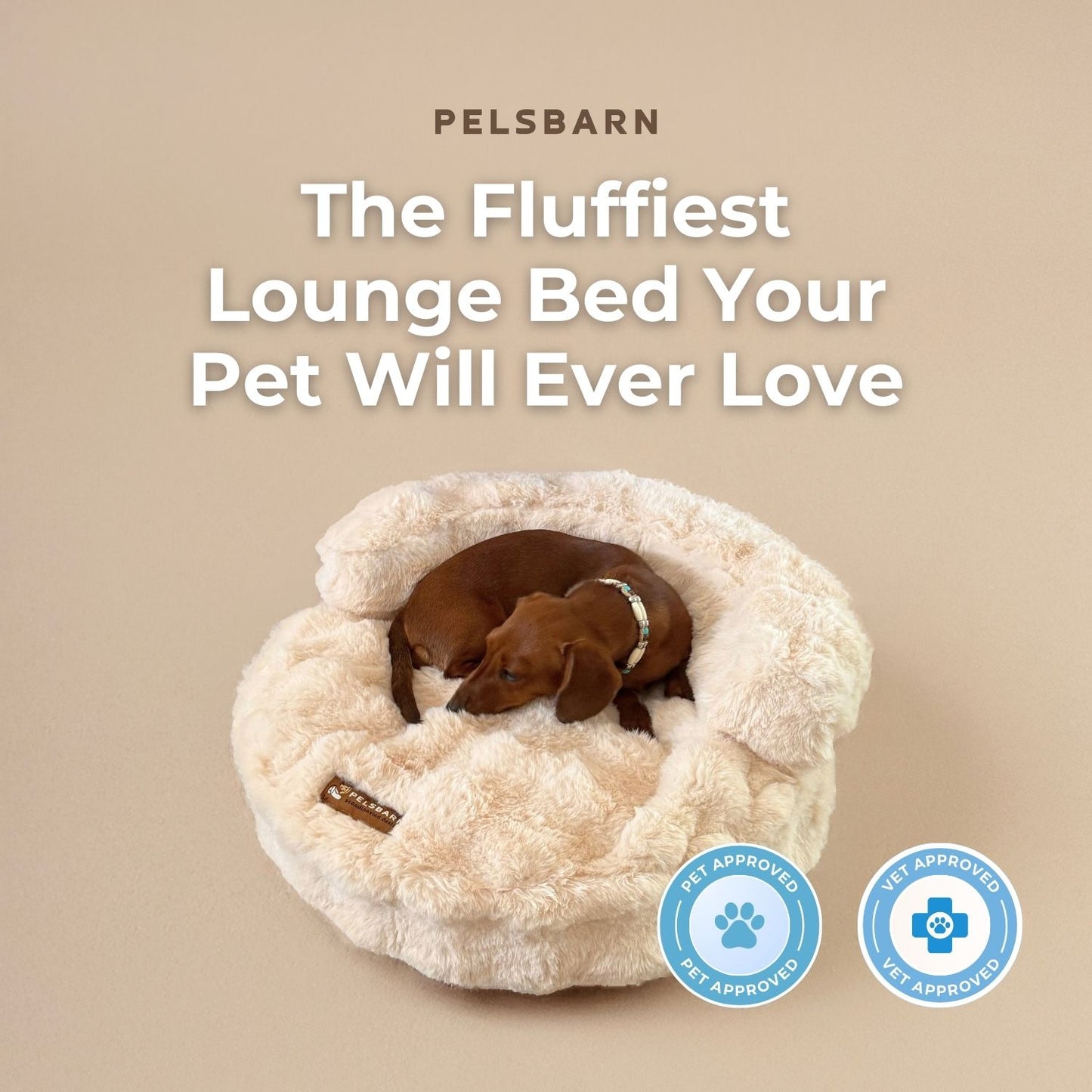 New: The Science of Canine Comfort
