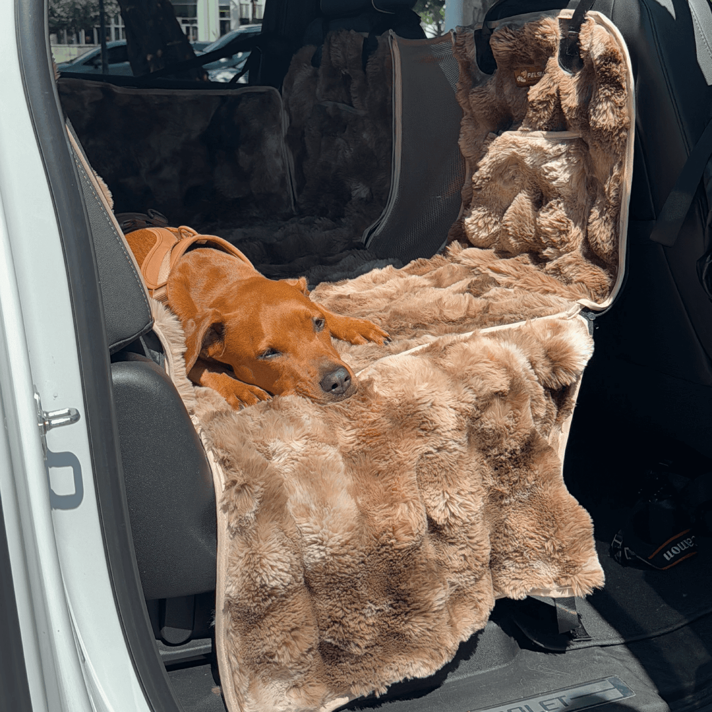 Luxurious Full Backseat Protector + Free Calming Blanket