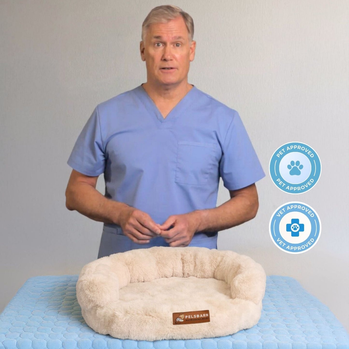 New: The Science of Canine Comfort