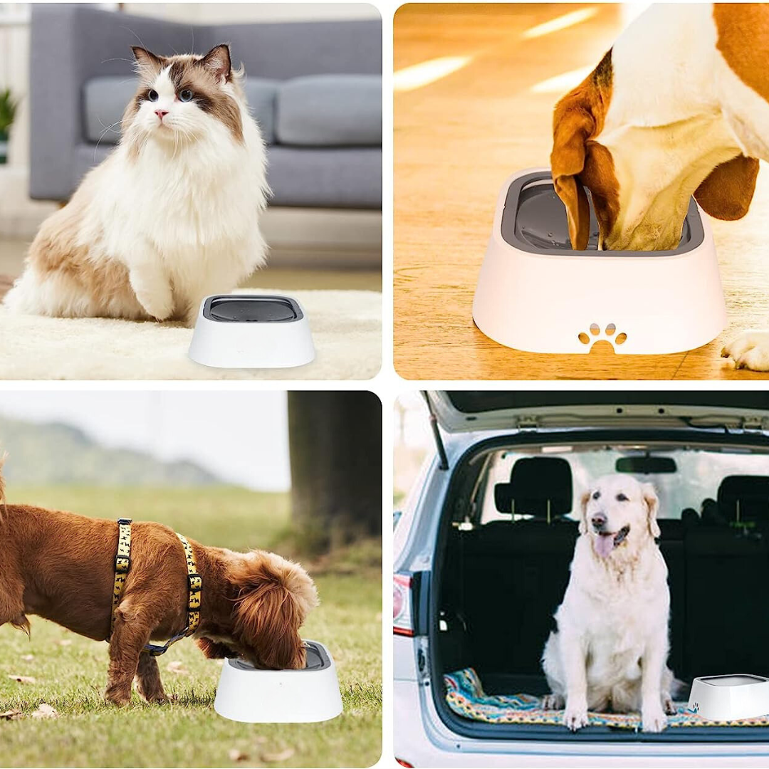 Anti-Spill Water Bowl