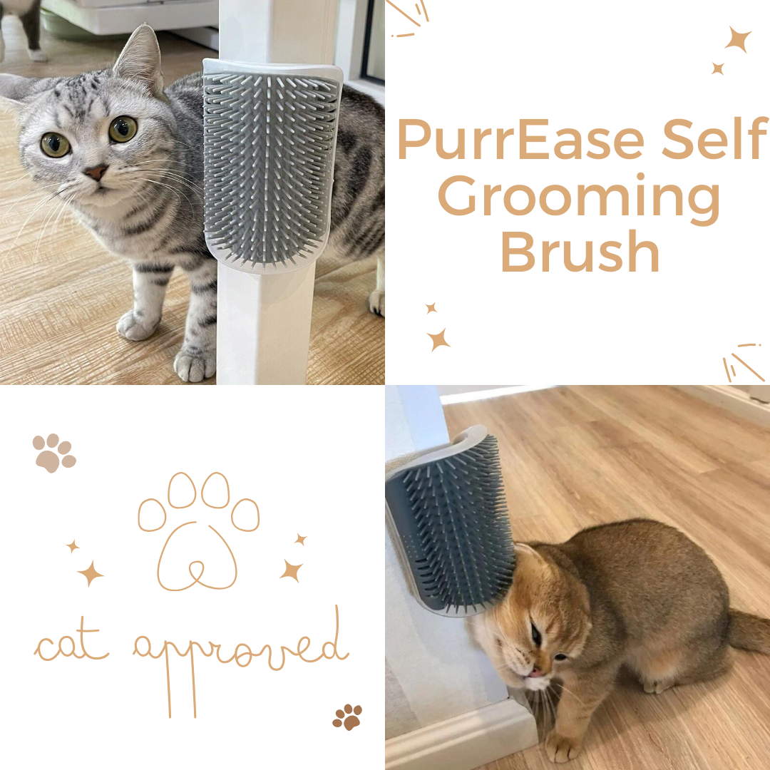 PurrEase Self Grooming Brush Pelsbarn