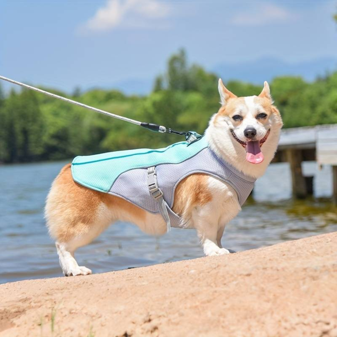 Cooling Dog Vest