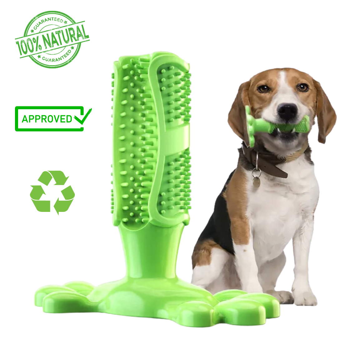 Dog Tooth Brush