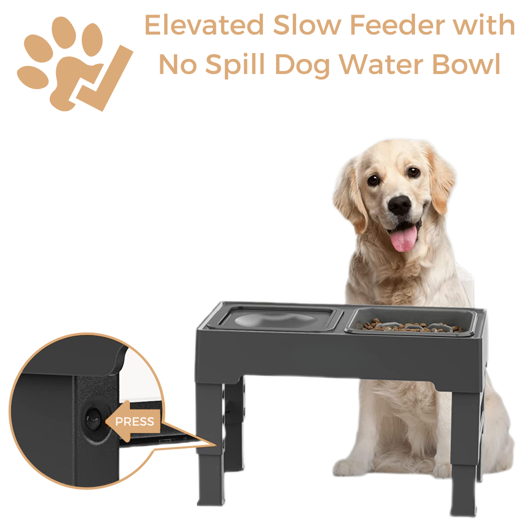 Elevated Slow Feeder with No Spill Dog Water Bowl Pelsbarn
