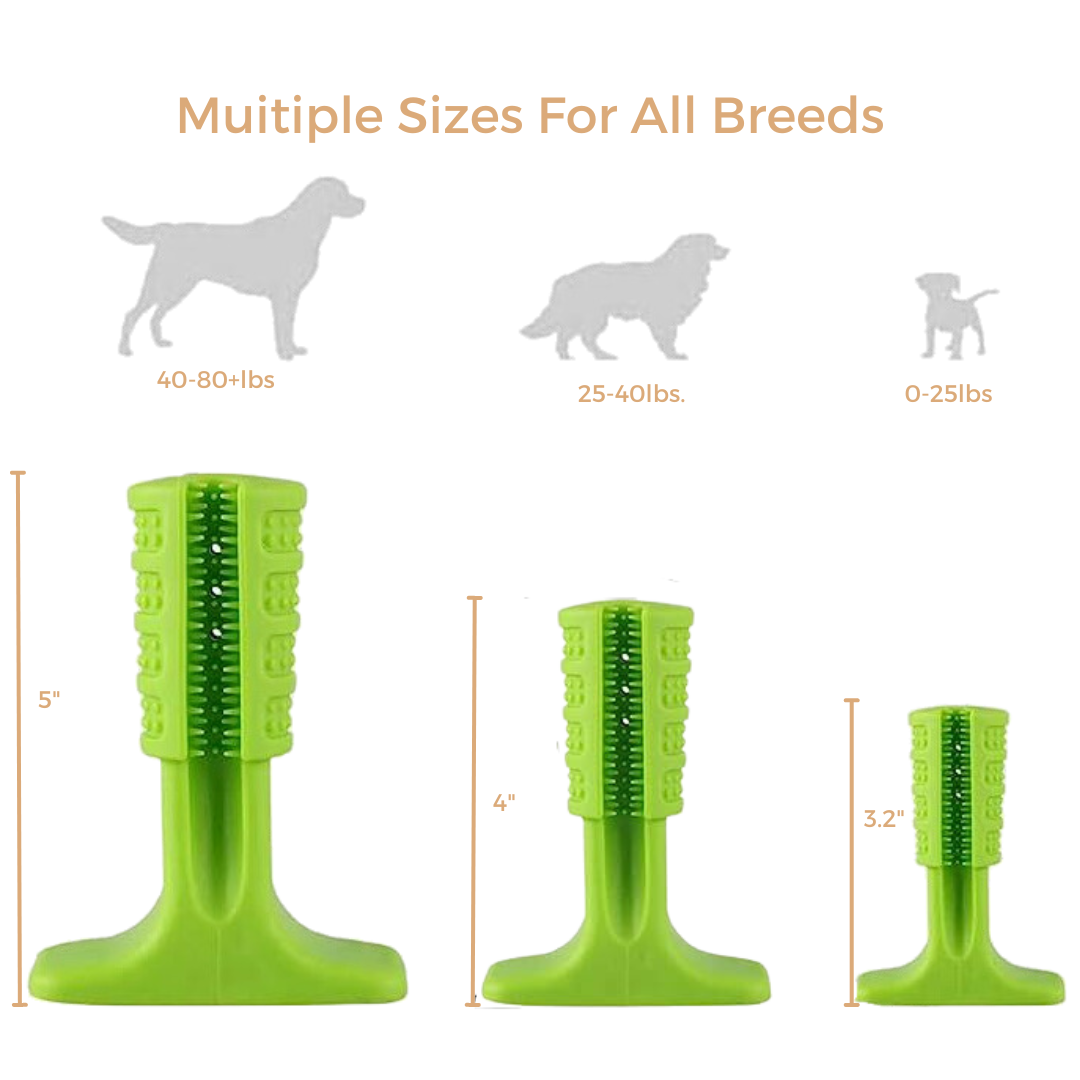 Dog Tooth Brush