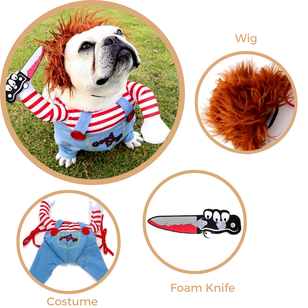 Woof-o-Ween: Chucky Pup-Style Costume