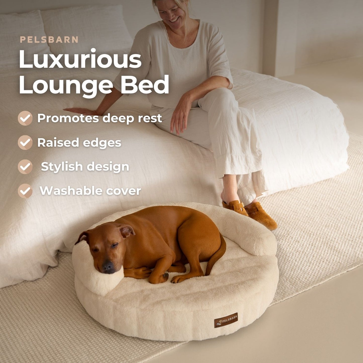 New: The Science of Canine Comfort