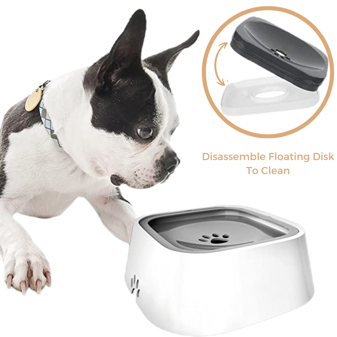 Anti-Spill Water Bowl