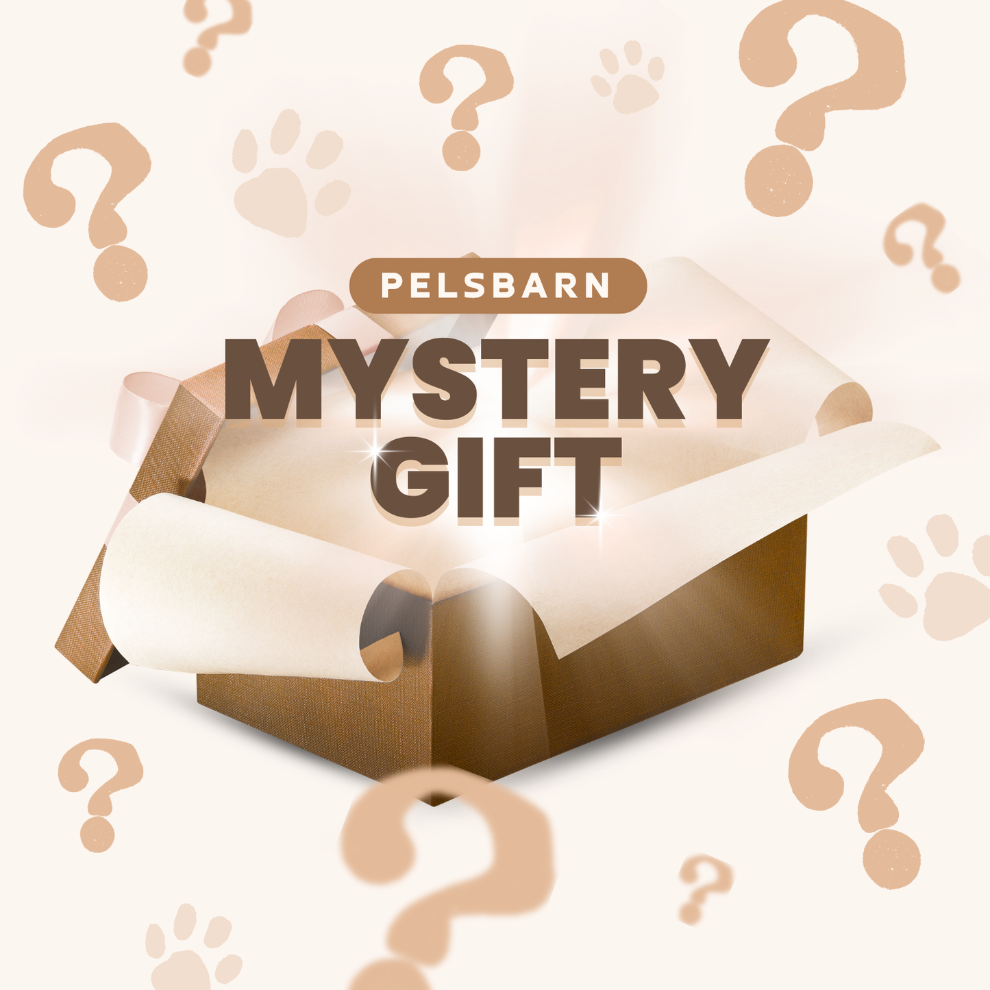 Mystery Gift