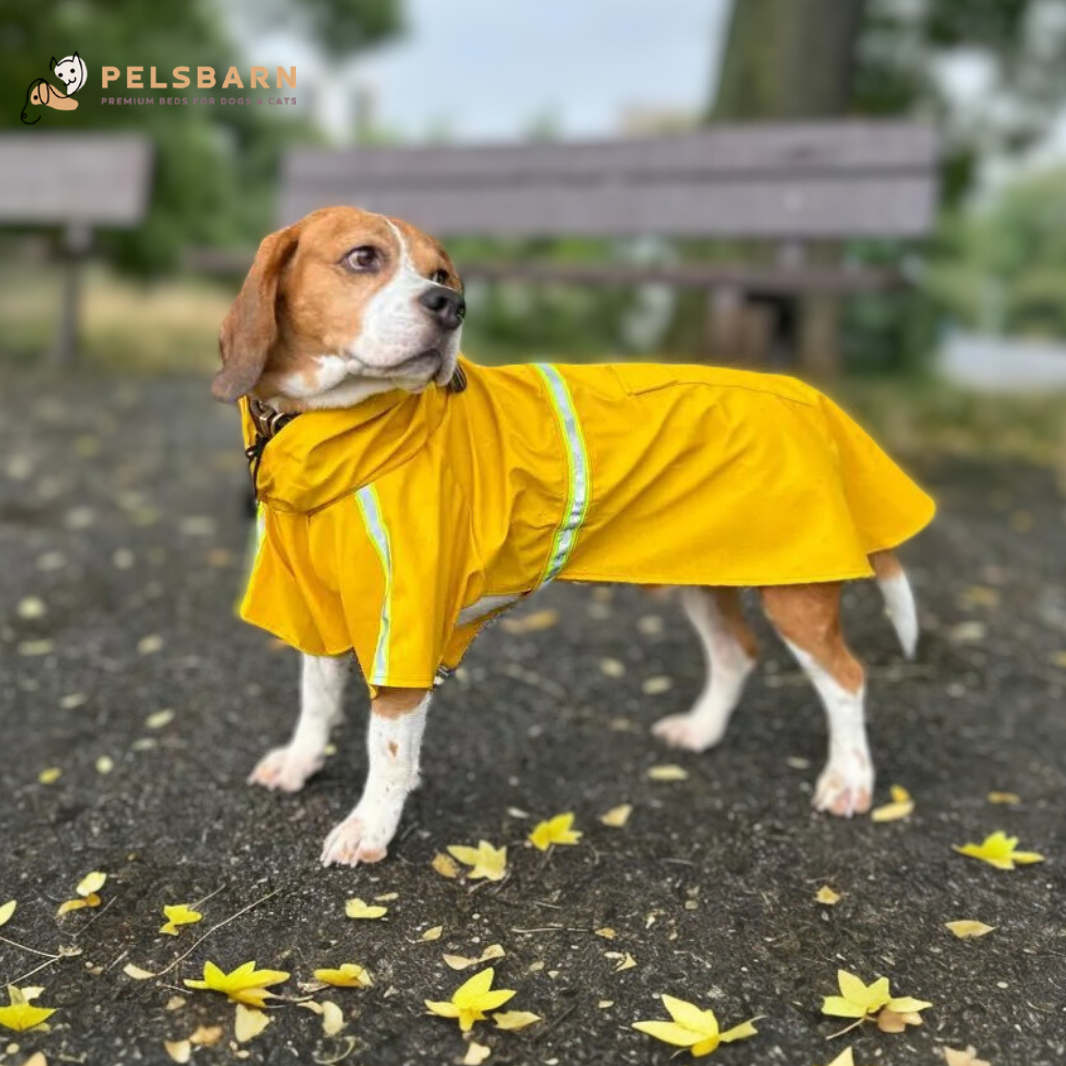 Pelsbarn Dog Raincoat –