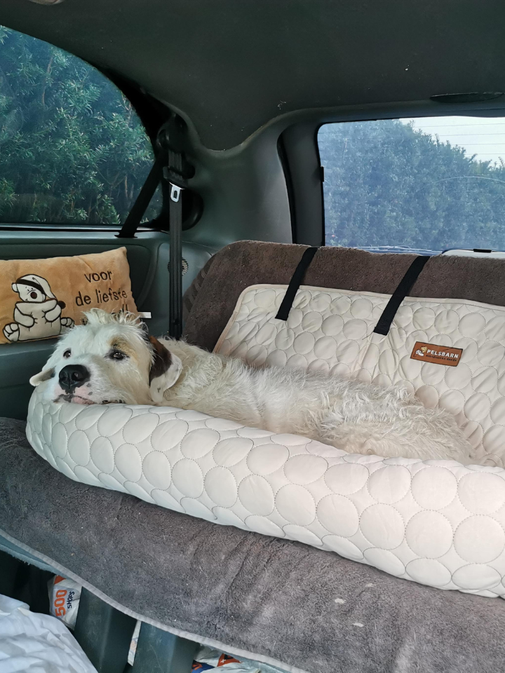 Pelsbarn Cooling Bed (4x more effective)