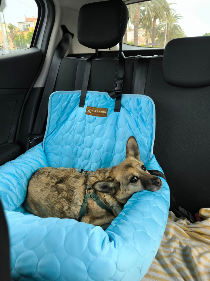 Pelsbarn Cooling Bed (4x more effective)