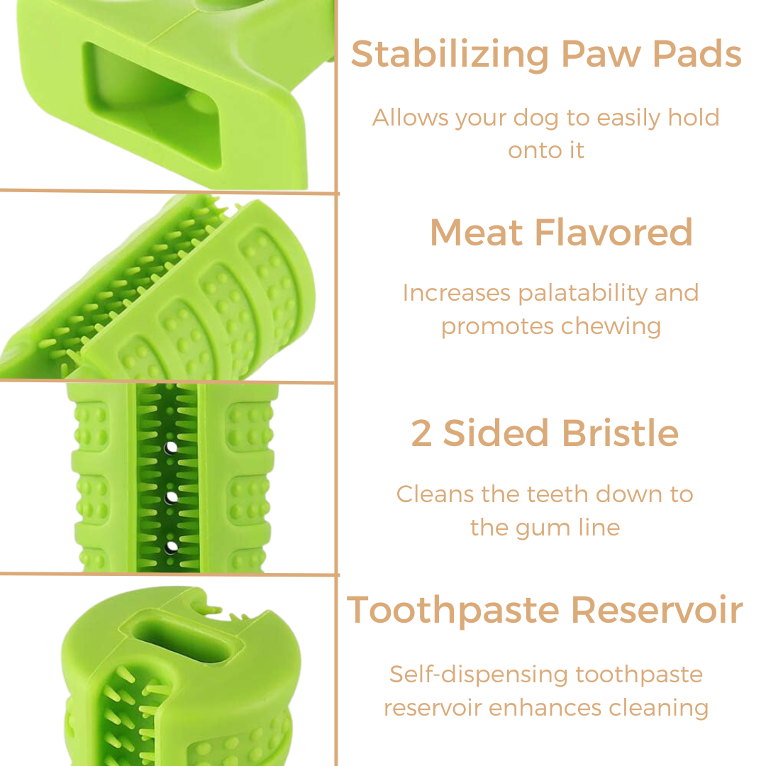 Dog Tooth Brush