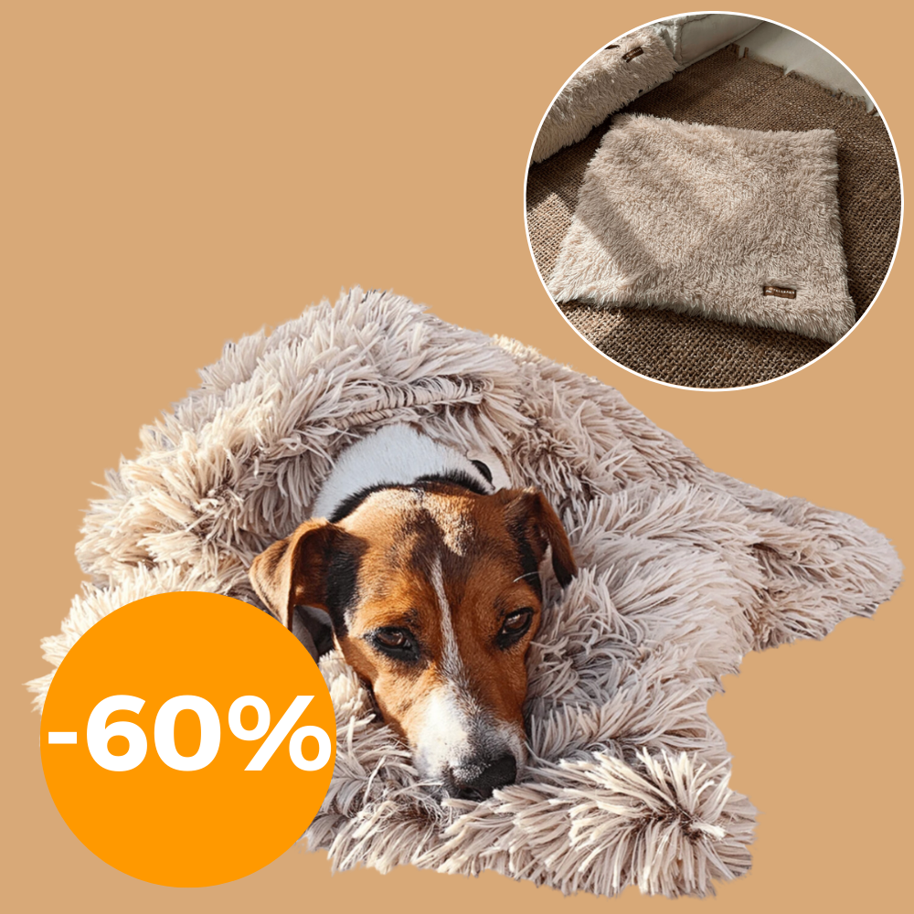 Pet calming blanket hotsell