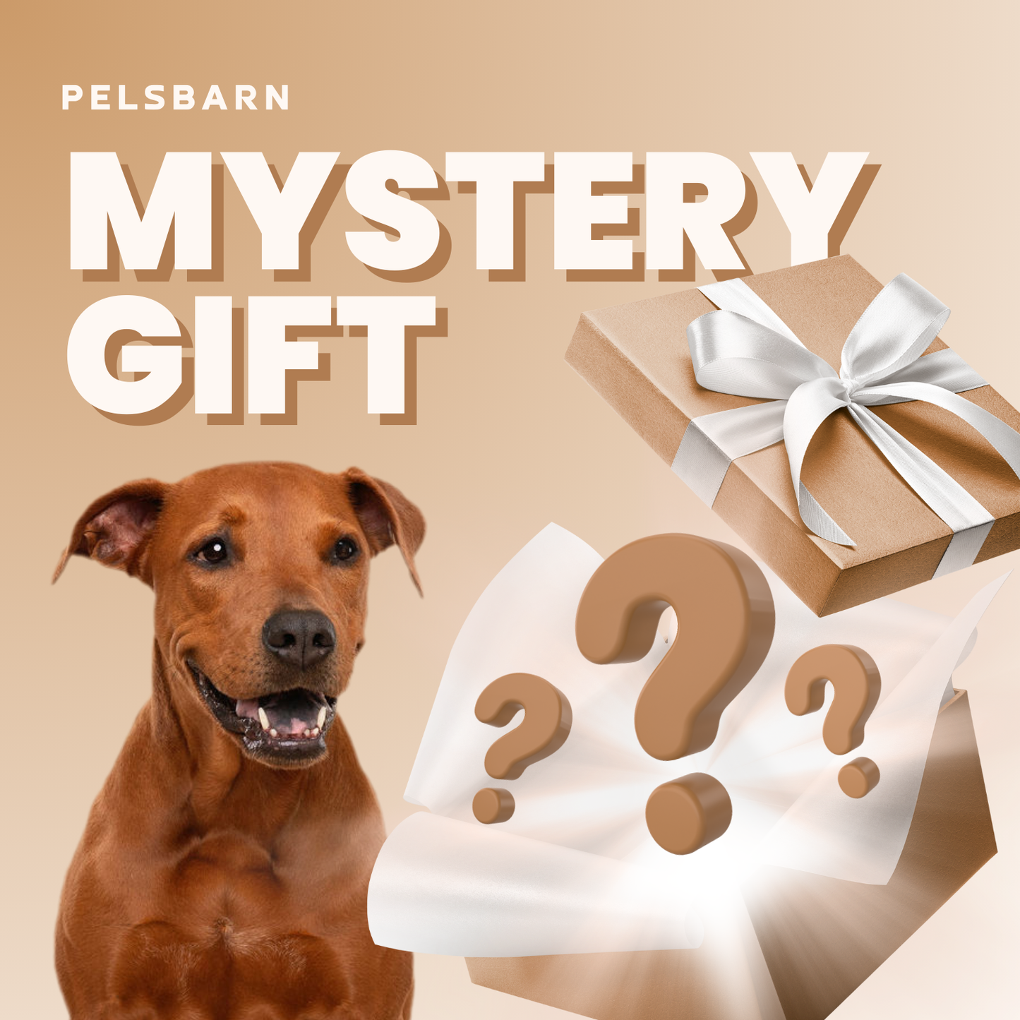 Mystery Gift