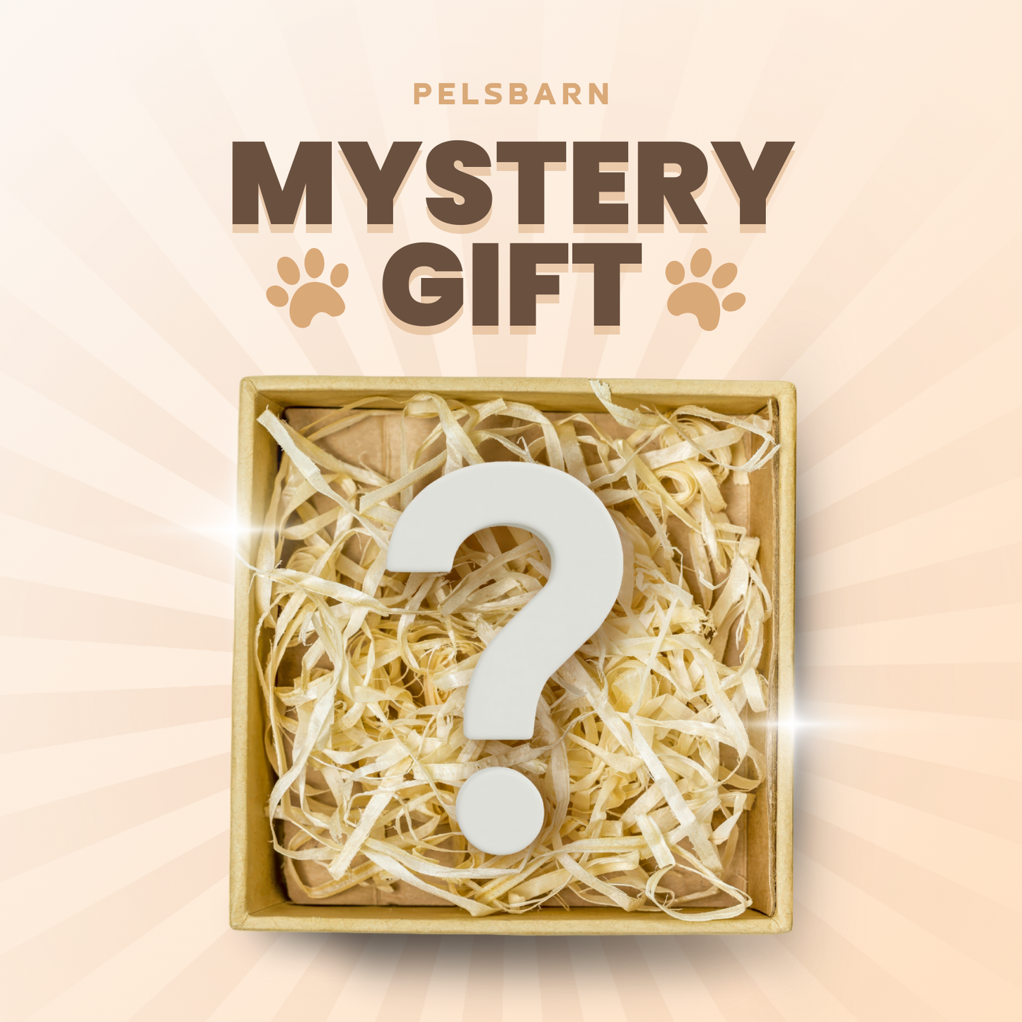 Mystery Gift