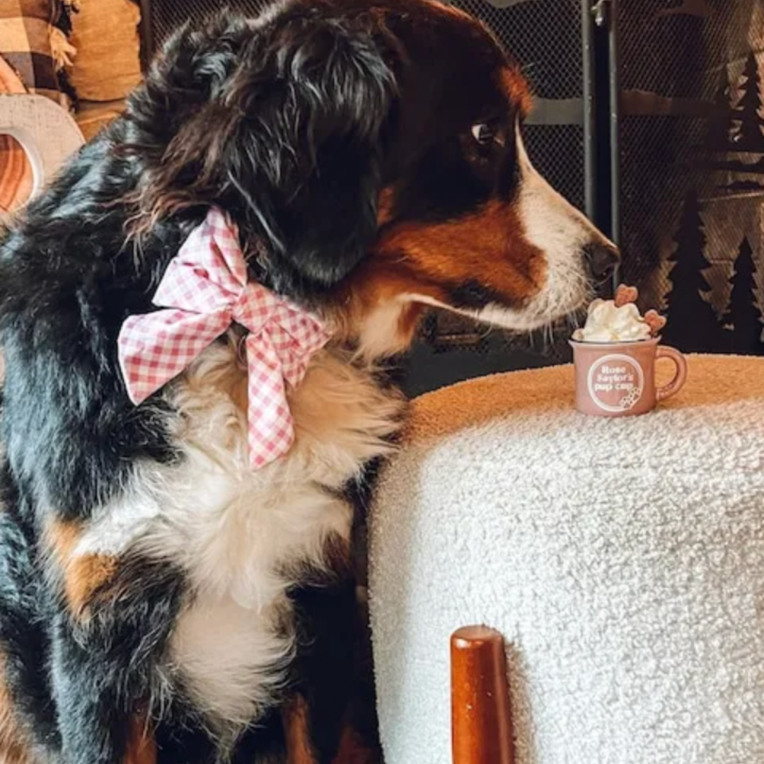 Personalized Pup Cup