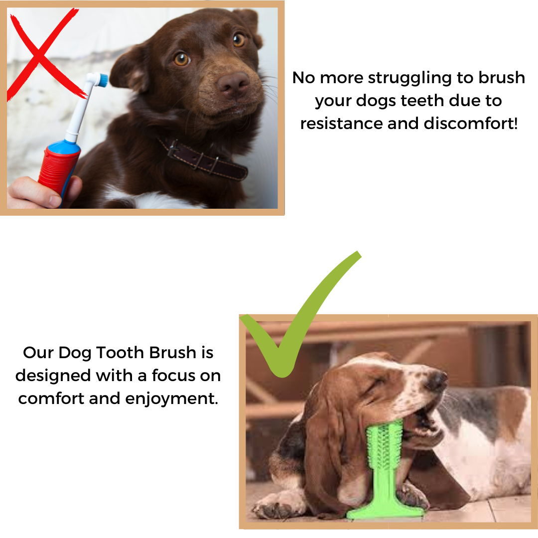 Dog Tooth Brush