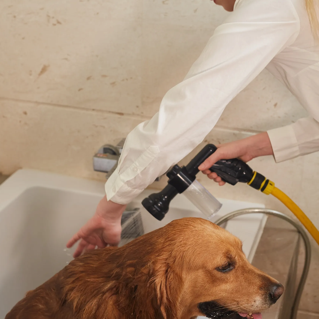 Quick-Wash Shampoo Sprayer