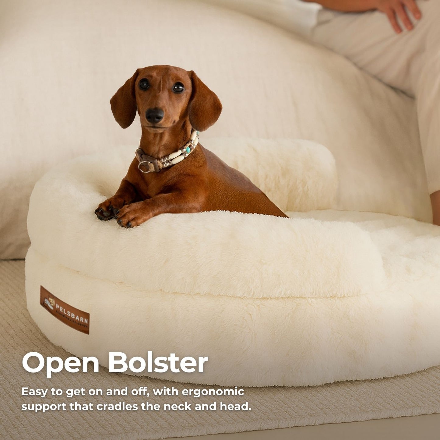 New: The Science of Canine Comfort