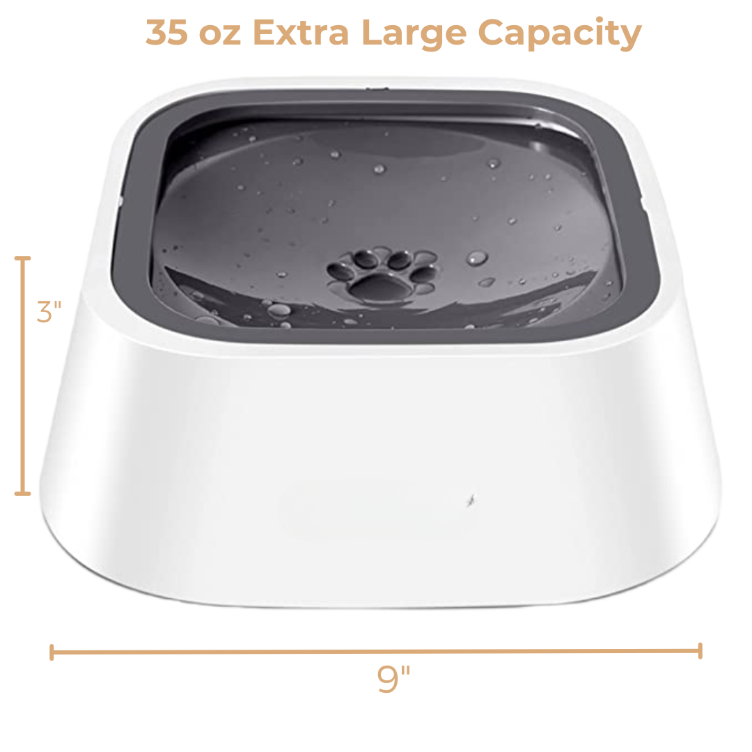 Anti-Spill Water Bowl