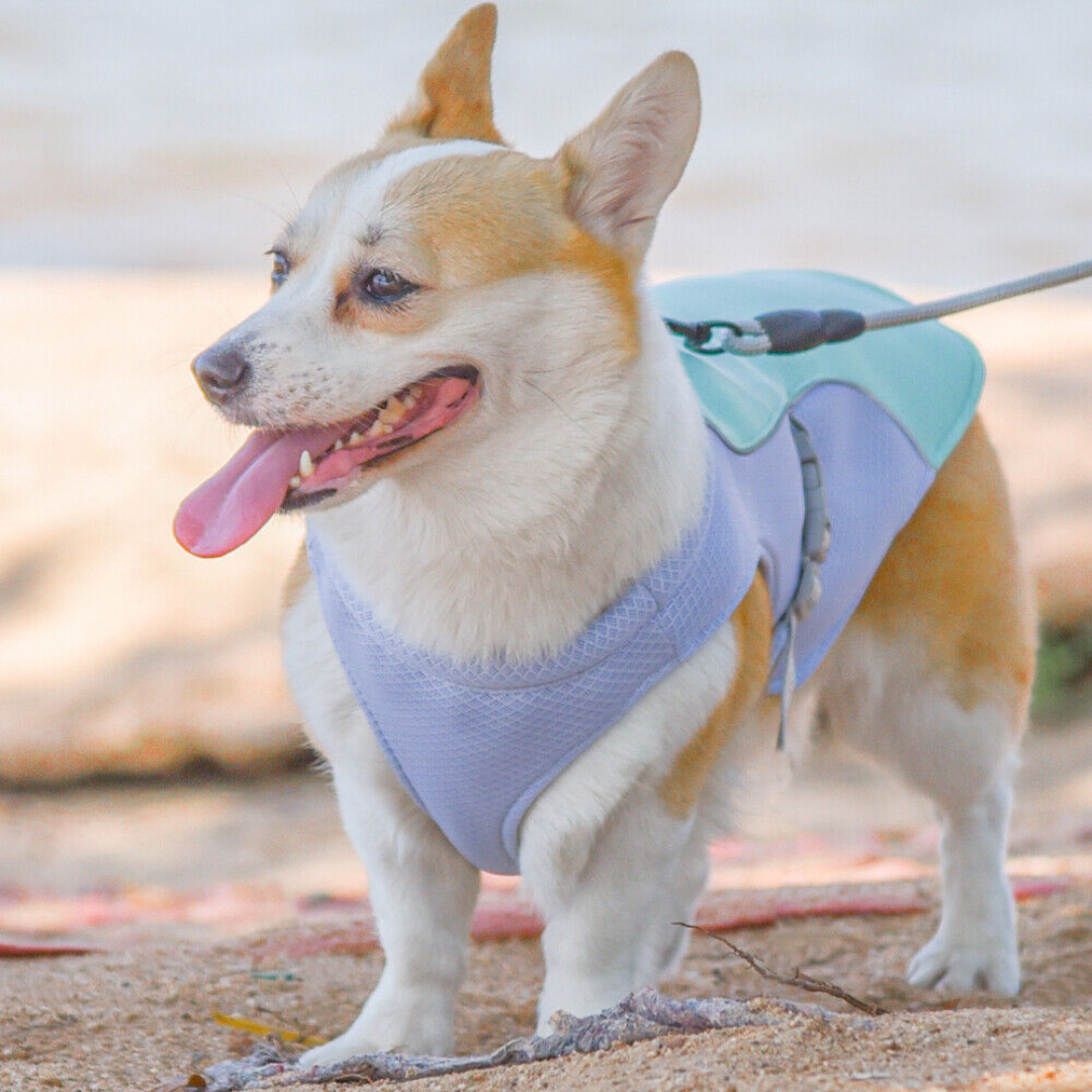 Cooling Dog Vest
