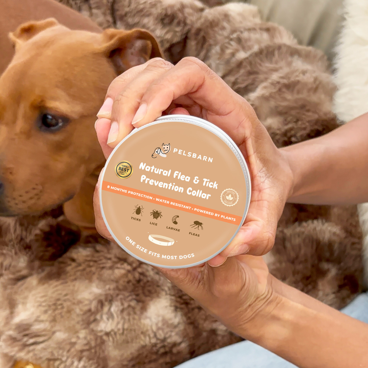 Natural Flea Tick Prevention Collar –