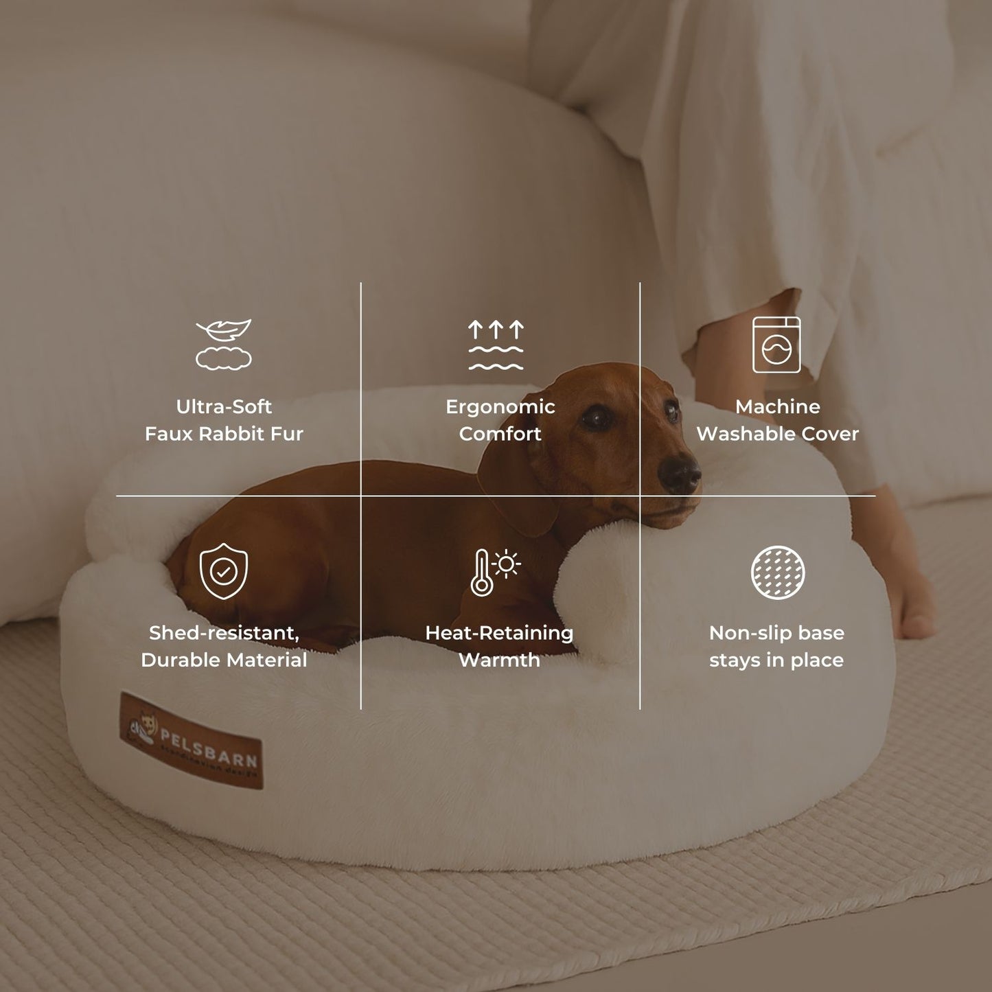 New: The Science of Canine Comfort