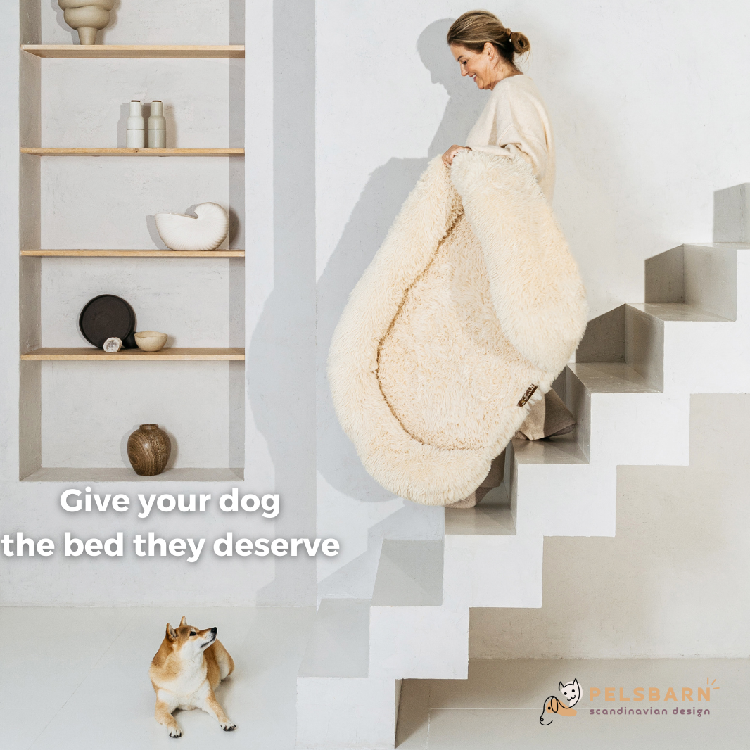 Orthopedic Calming Dog Bed Aussie