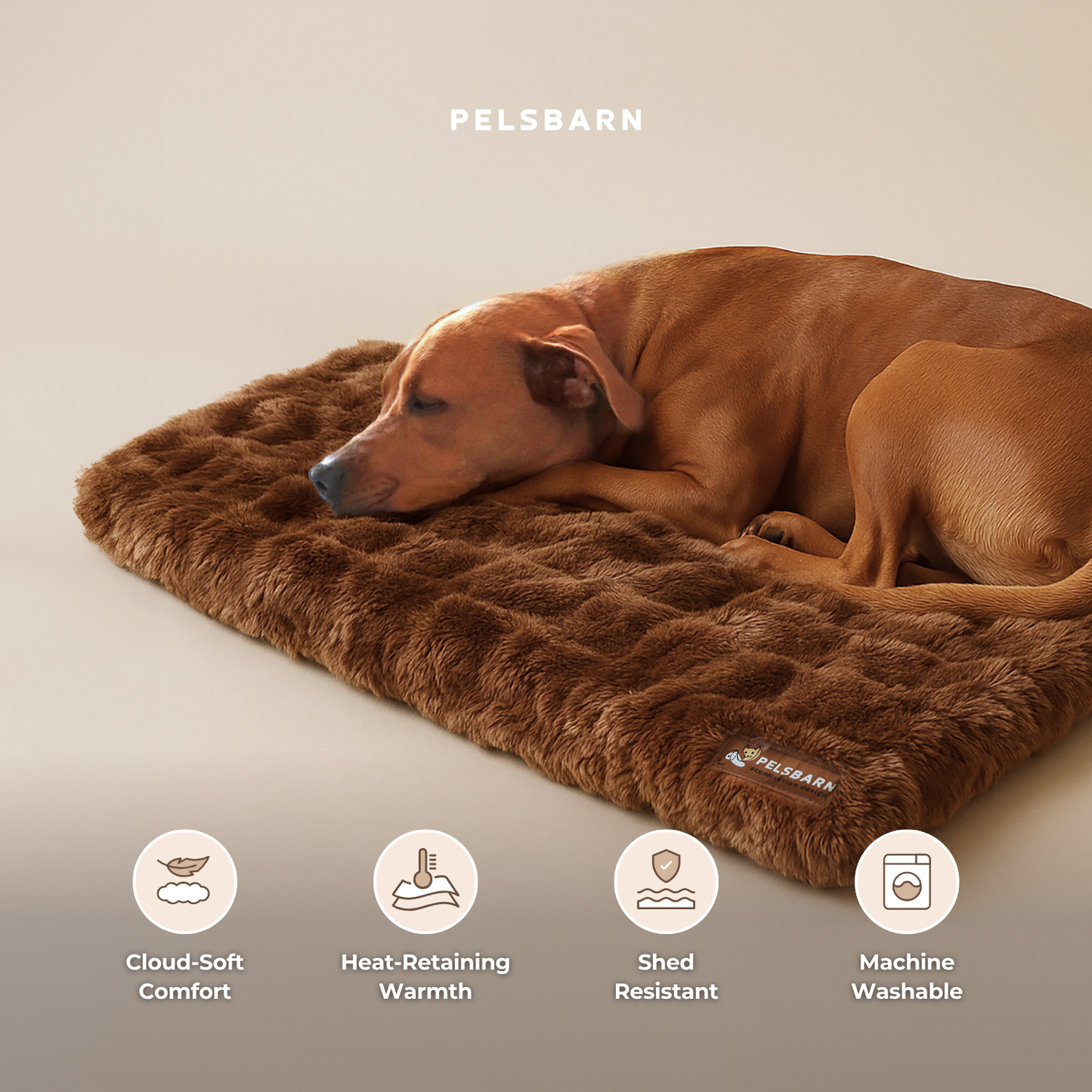 Luxurious Calming Blanket (1+1)