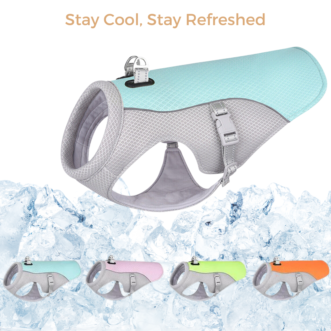 Cooling Dog Vest