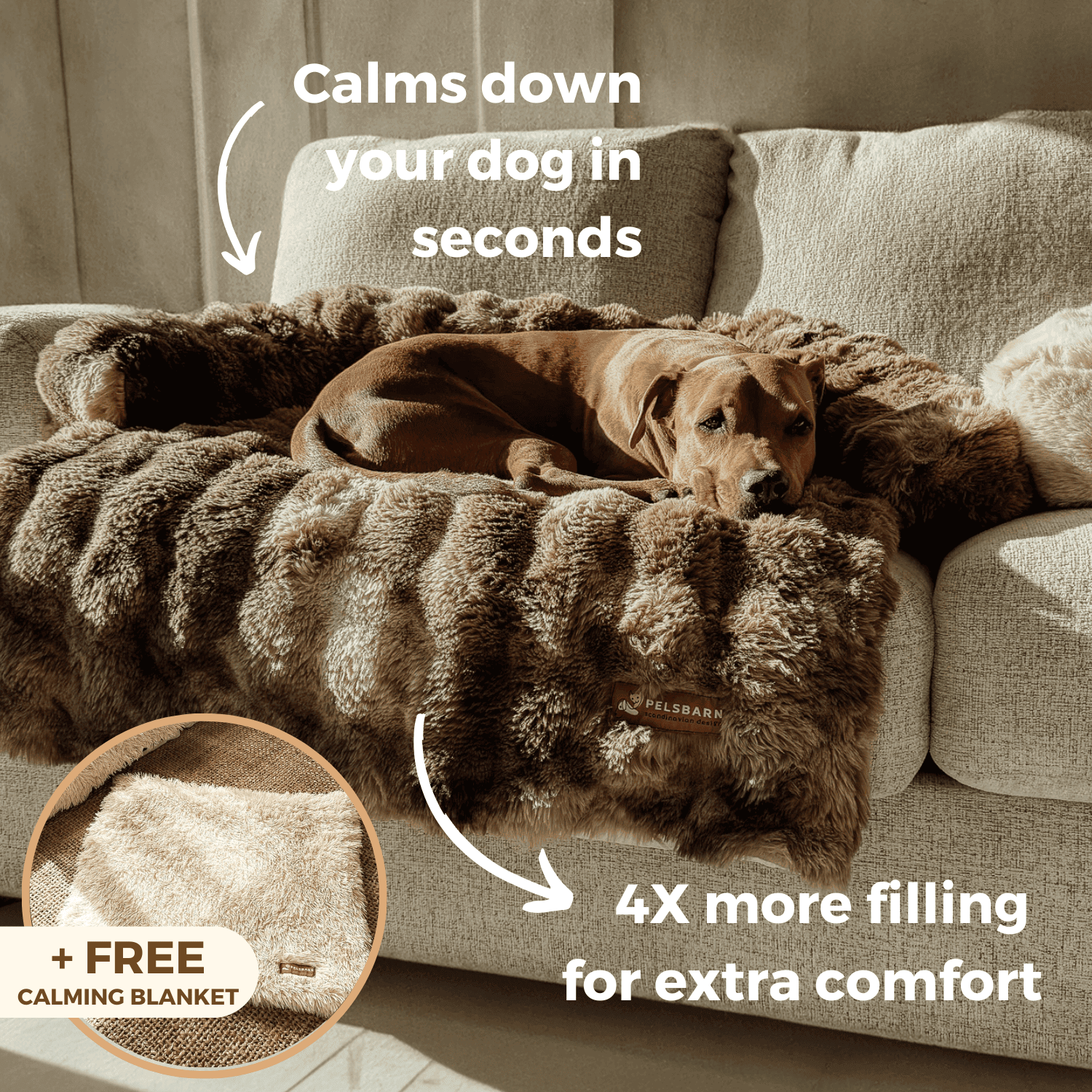 Cozy dog blanket best sale