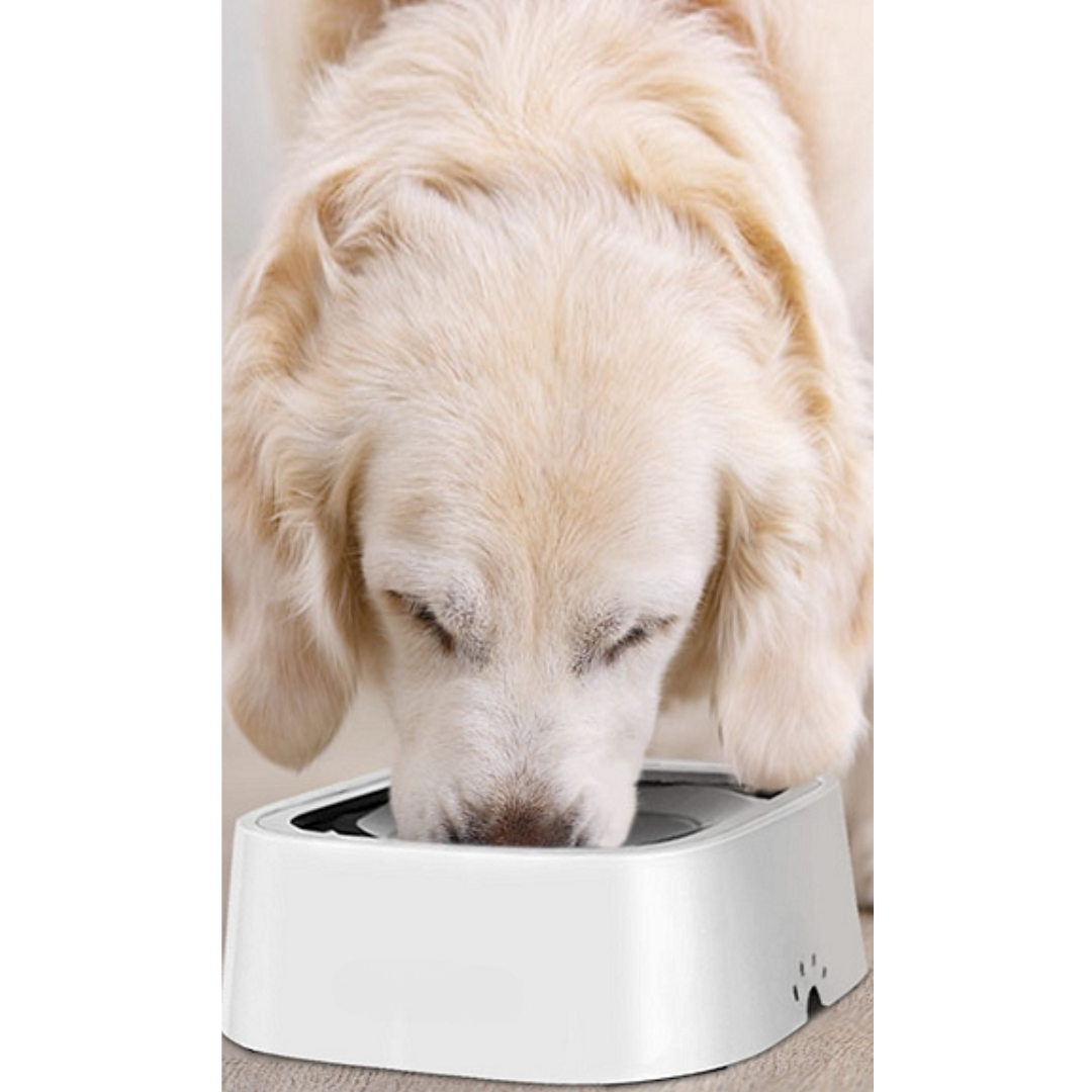 Anti-Spill Water Bowl