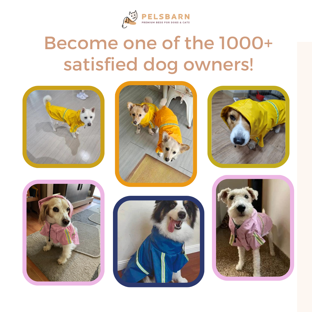 Pelsbarn Dog Raincoat