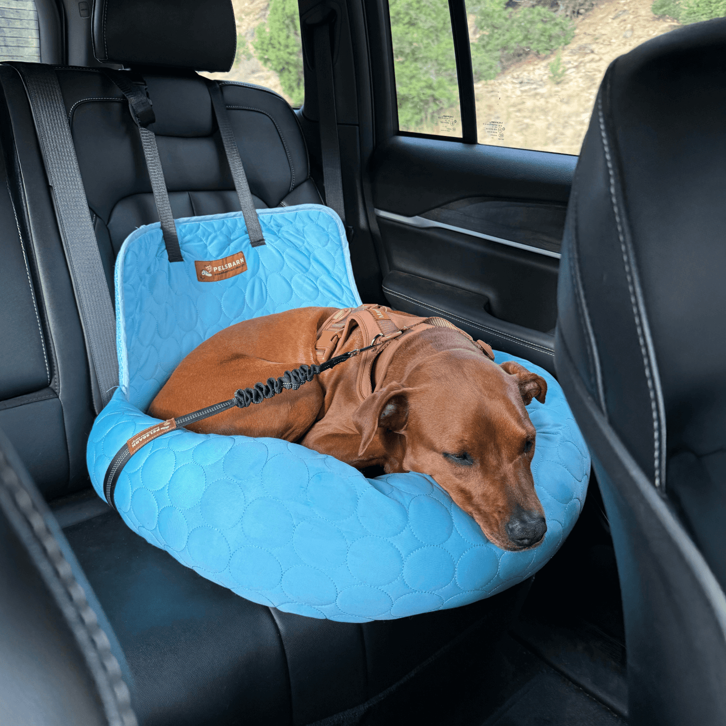 Pelsbarn Cooling Car Bed BOGO Deal
