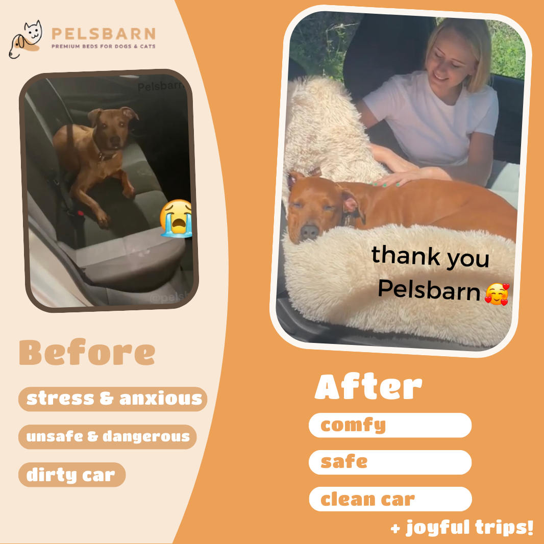 Pelsbarn Protecting Car Bed + Free Mat