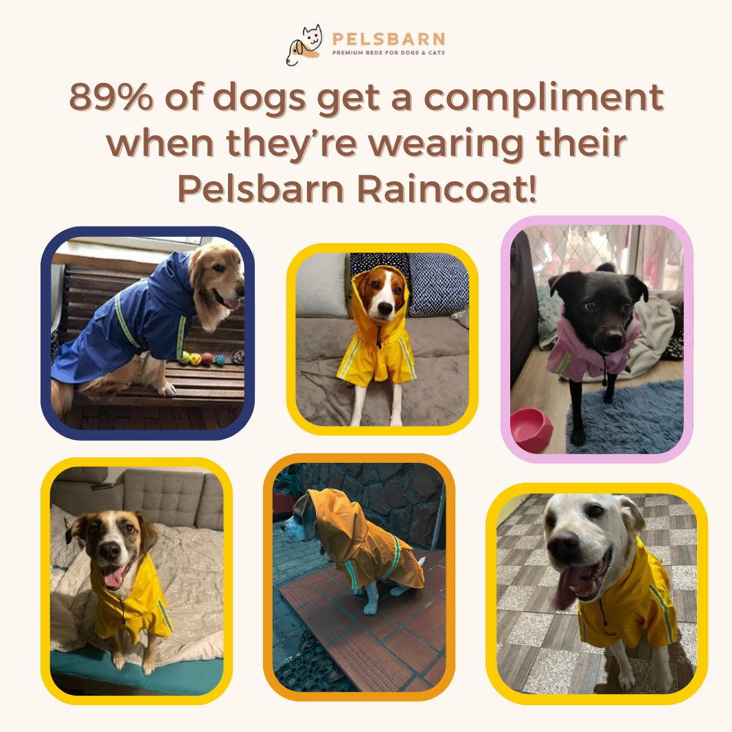 Pelsbarn Dog Raincoat