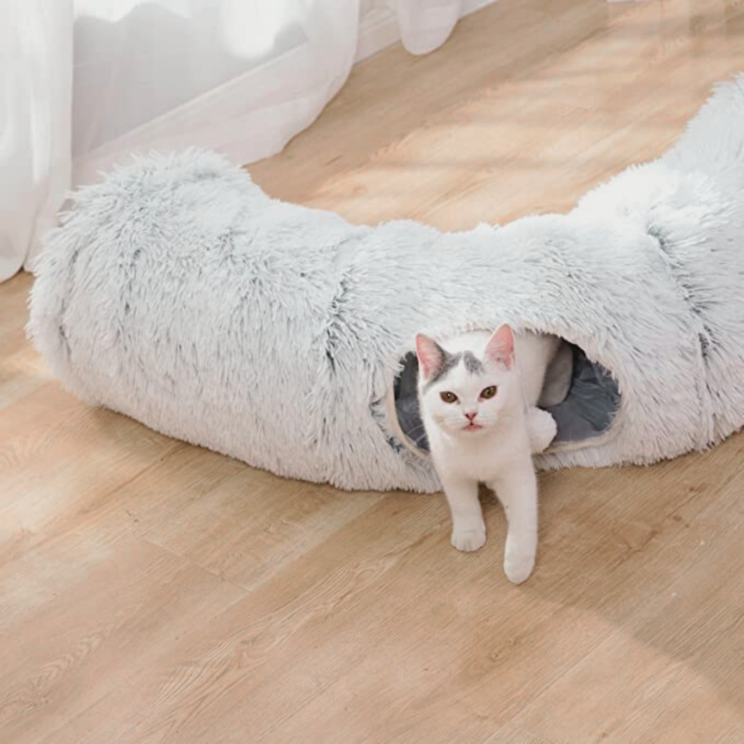 2-in-1 Cat Tunnel Bed