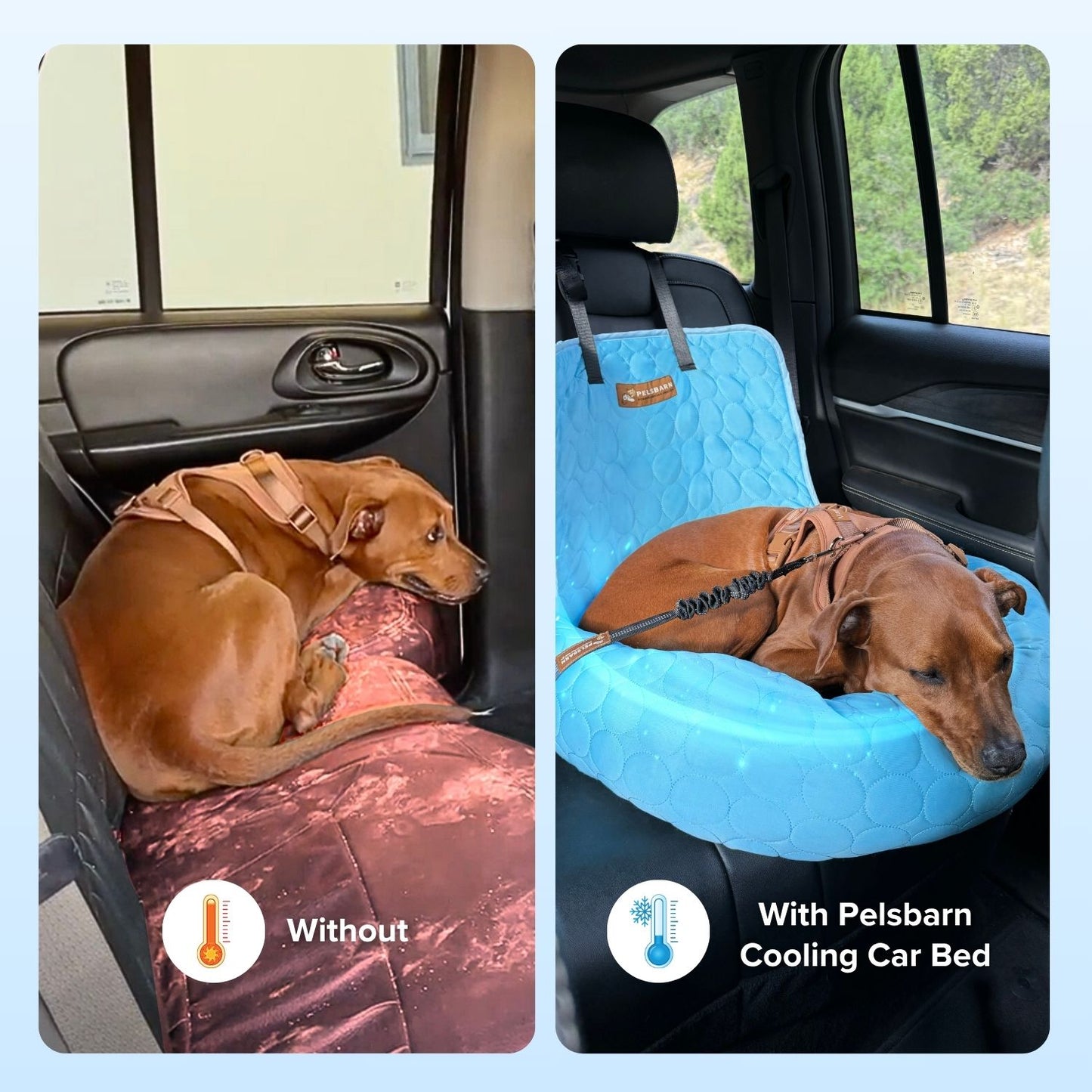 Cama de refrigeración para coche Pelsbarn