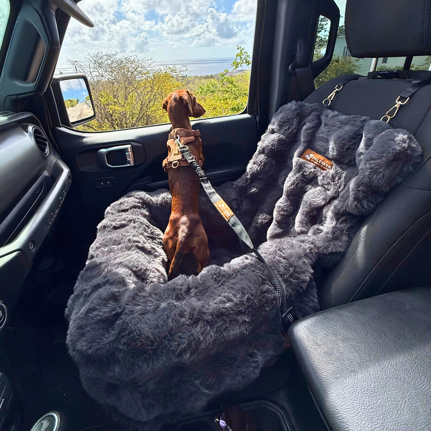 Luxurious Cozy Car Bed