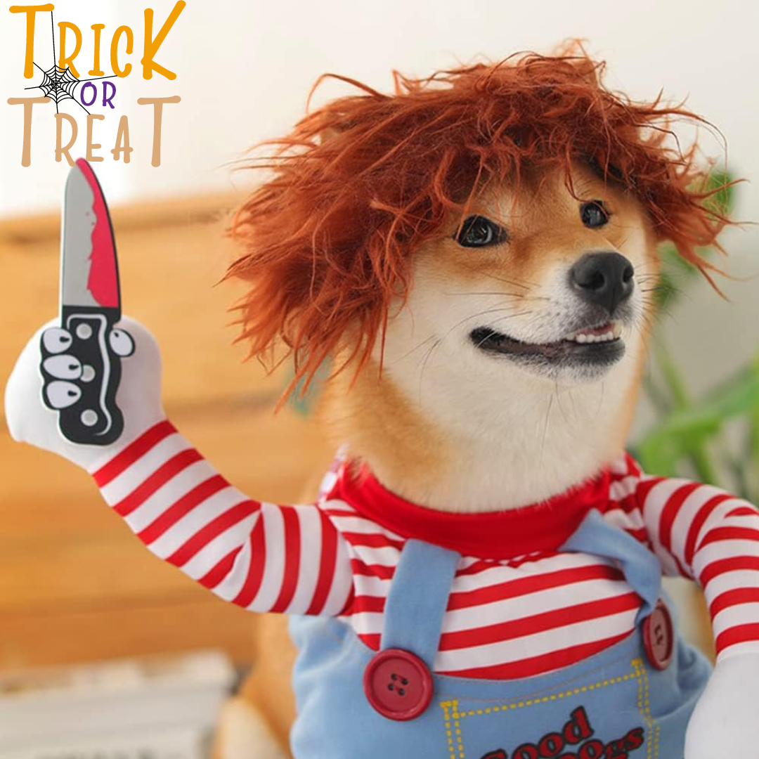 Chucky dog outfit best sale