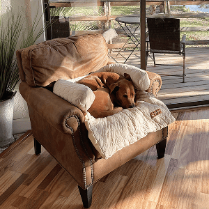2. Furniture protection