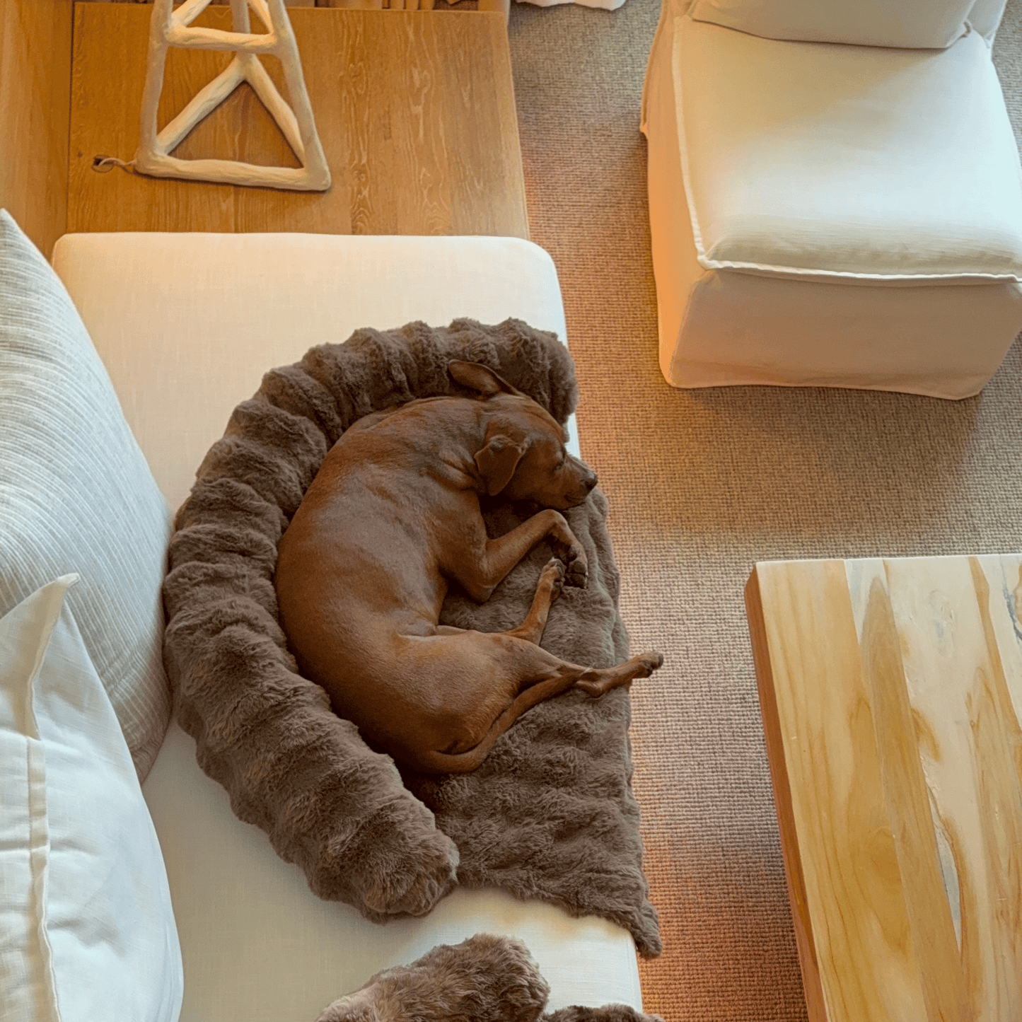 Pelsbarn Luxurious Sofa Bed ( 1+1 )