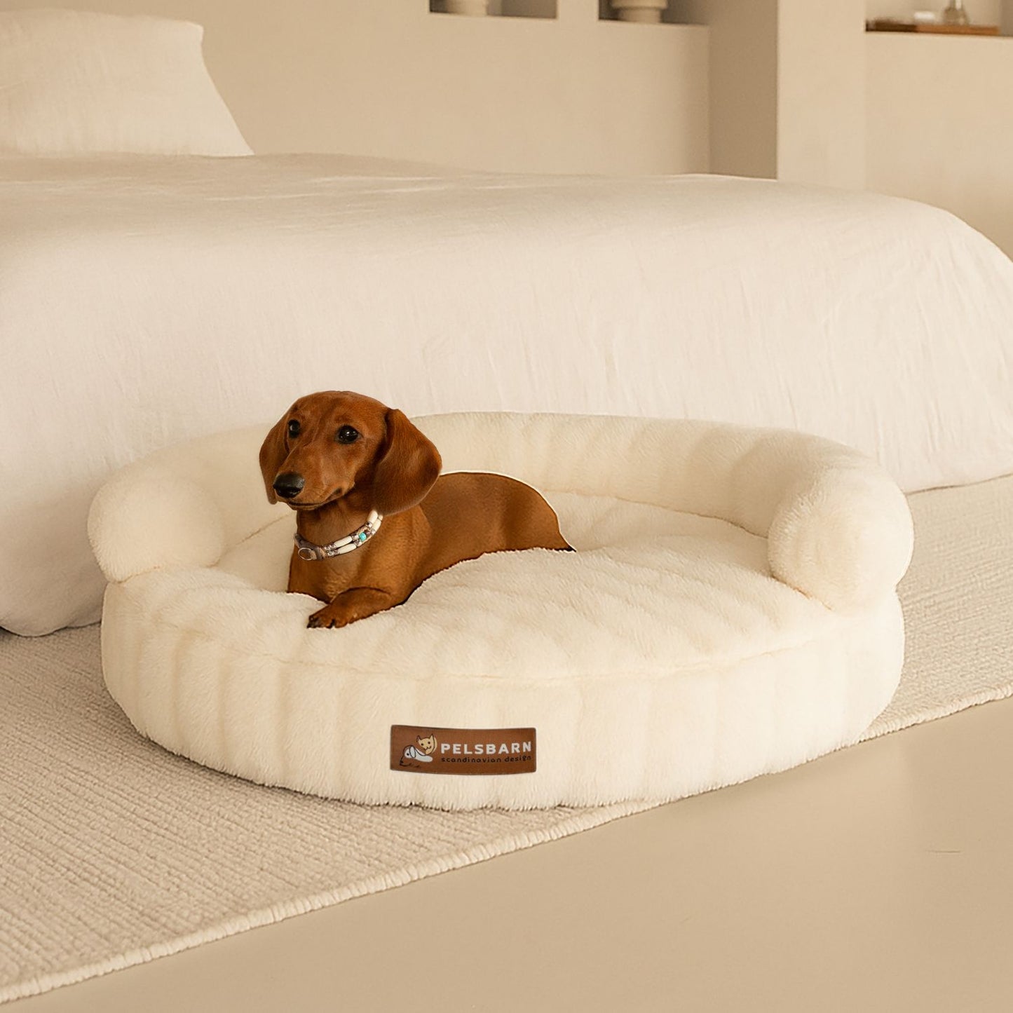 New: The Science of Canine Comfort