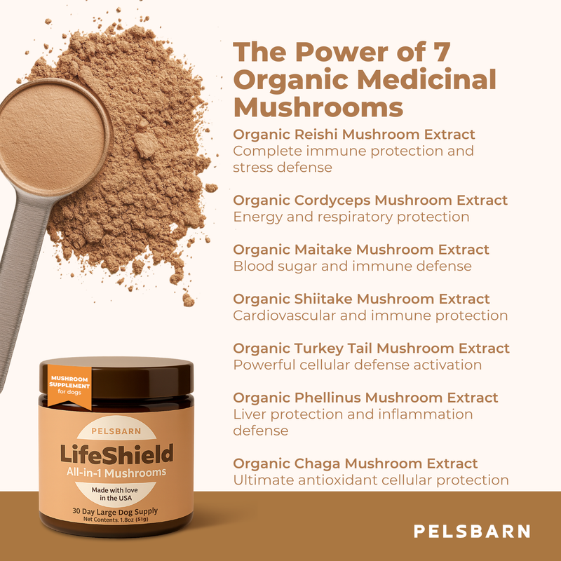 Lifeshield All-in-1 Mushroom Supplement